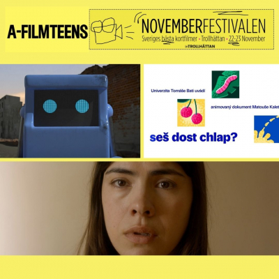 České filmy míří na Novemberfestivalen 2024