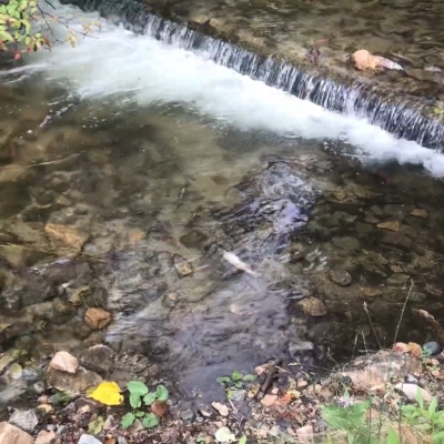 Mysteries of Water