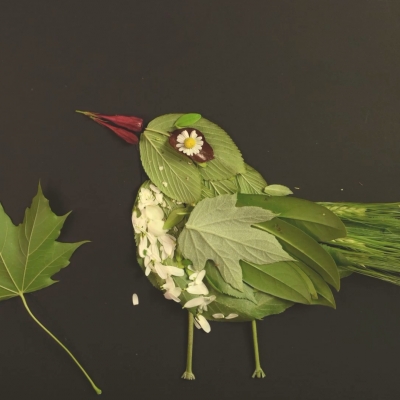 Spring